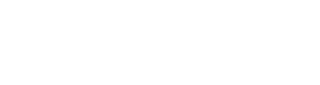 Cecilia Botêlho, Estratégia em Percepção de Valor